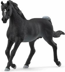 Schleich Horse Club Armăsar arab 13981 (SLH13981) Figurina