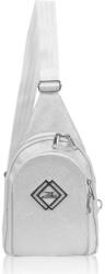 Zellia női crossbody táska, ezüst 33 x 18 cm (Z-48936019)