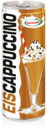 hochwald Eis Cappuccino jegeskávé - 250 ml