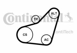 CONTITECH Set curea transmisie cu caneluri CITROEN C3 Pluriel (HB) (2003 - 2016) CONTITECH 6PK800K1