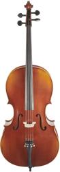 Bacio Instruments Professional Cello Antique (ACA300) 4/4