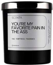 Scenta Home&Lifestyle You’re My Favorite Pain In The Ass Lumanari 160 ml