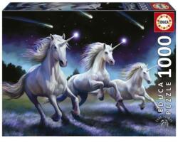 Educa 1000 db-os puzzle - Shooting Stars - Anne Stokes (19919) (19919)
