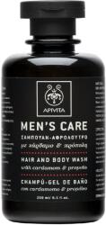APIVITA Gel de spalare corp si par pentru barbati, 250 ml, Apivita