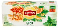 Lipton herbal infusion menta és citrus ízesítésű tea 20db 26g
