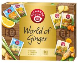 TEEKANNE World of Ginger teaválogatás 6x5db 55g