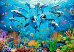 Educa 19901 - Buli a tenger alatt - 500 db-os puzzle (19901)