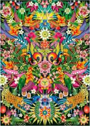 Educa 19934 - Tukán madarak - 1000 db-os puzzle (19934)