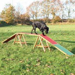  Dog Activity AGILITY tréning tálca 456x64x30 cm