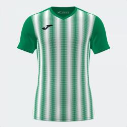 Joma Inter Ii Short Sleeve T-shirt Green White 4xs