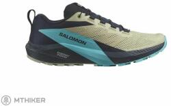 Salomon SENSE RIDE 5 cipő, Alfalfa/Carbon/Peablu (UK 10.5)