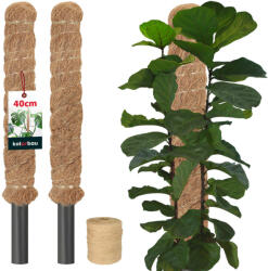 KOTARBAU țăruș Pentru Plante De Nucă De Cocos 40 Cm X 25 Mm Set De 2 Buc (zsy2565)