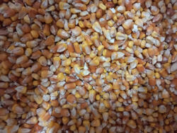 Farma Porumb Mic, Small Corn, 20 kg (C2455)