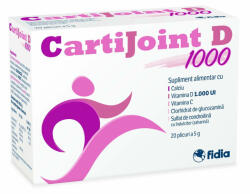 Cartijoint D1000, 20 plicuri x 5 g, Fidia Farmaceutici