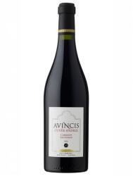 AVINCIS - Cuvee Andrei - Cabernet Sauvignon DOC 2020 - 0.75L, Alc: 14.5%