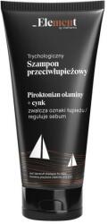 Vis Plantis Șampon anti-mătreață pentru bărbați - Element Shampoo Anti-Dandruff Shampoo For Men 200 ml