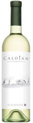 Crama Oprisor Vin Alb Caloian Sauvignon Blanc, Sec, 0.75l (5942111004414)