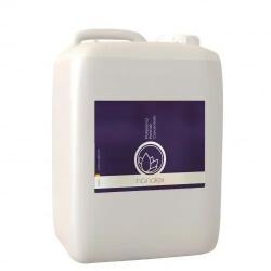 Nanolex Produse cosmetice pentru exterior Spuma Prespalare Auto Nanolex Professional Prewash Concentrate, 5L (NXPPRE050)