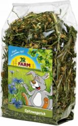 JR FARM Lándzsás Útifű 100 g - petissimo