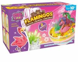 Regio Toys Set de crescut cristale flamingo (3977)