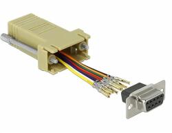 Delock Szürke Sub-D 9-tűs anya RJ45 anya összekötő adapter (66164)