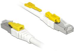 Delock Kábel 2 m-es RJ45 Secure csatlakozós Cat. 6A (85332) - dellaprint