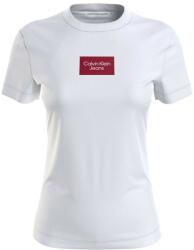 Calvin Klein T-shirt Institutional Box Slim Tee J20J220274 YAF White (J20J220274 YAF White)
