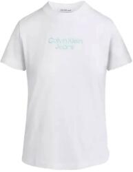 Calvin Klein T-Shirt Stacked Institutional Reg Tee J20J223222 YAF bright white (J20J223222 YAF bright white)