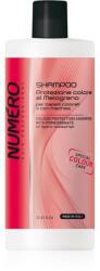 Brelil Colour Protection Shampoo șampon pentru păr vopsit 1000 ml