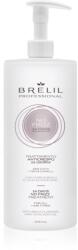 Brelil Professional No Frizz 14 Days No Frizz Treatment lapte pentru păr anti-electrizare 1000 ml