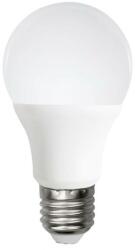 Aigostar B. V. LED Izzó A60 E27/12W/230V 6500K - Aigostar B10105MQC (AI0775)