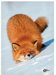 STREET Beírókönyv sima STREET A/4 96 lapos S-Line keményfedelű vegyes mintákkal (231873) - tonerpiac - 985 Ft