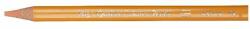 Astra Színes ceruza ASTRA bõrszín (312117013) - tonerpiac