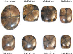  Andaluzit Natural Cabochon cu Gaura Forme Mixte (Oval si Patrat) 22-42x17-31x5-6 mm - 1 Buc