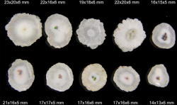  Cabochon Cuart Solar - Neregulat - 14-23x13-21x5-7 mm - 1 Buc