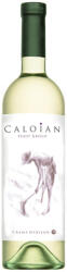 Oprisor Crama Oprisor - Caloian Pinot Grigio 2023 - 0.75L, Alc: 13%