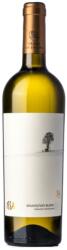 La Salina - Issa - Sauvignon Blanc 2023 - 0.75L, Alc: 12.5%