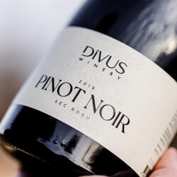 Divus Winery Vin Rosu Divus Pinot Noir 0.75L (10086)