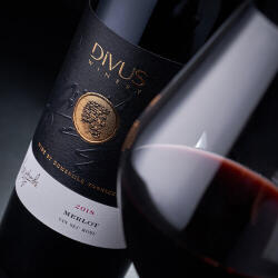 Divus Winery Vin Rosu Divus Merlot 0.75L (10085)