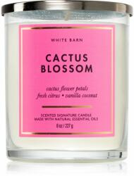 Bath & Body Works Cactus Blossom illatgyertya 227 g