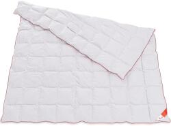 Best Sleep paplan, 220x200 cm, Hipoallergén, 100% libapehely töltelék, 100% pamut, Fehér/Piros