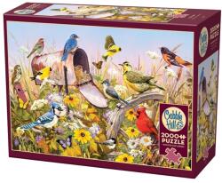 Cobble Hill 2000 db-os puzzle - Field Song (49013) (49013)
