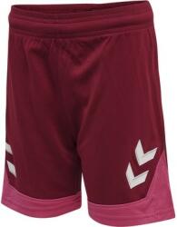 Hummel Sorturi Hummel LEAD POLY SHORTS KIDS 207396-3584 Marime 116
