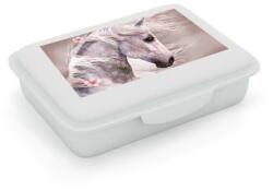 KARTON P+P Cutie prânz - model Magic Horse - Oxybag