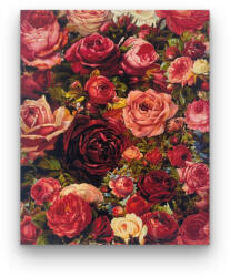 Számfestő Piros rózsák - előszínezett számfestő készlet (50x65cm) (R43115-138-4)