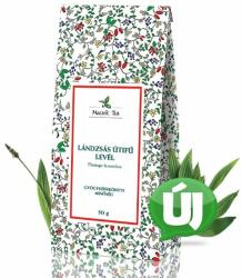 Mecsek Tea Lándzsás útifű levél szálas monotea 50g