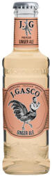 JGASCO Ginger Ale (0,2l)