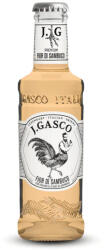JGASCO Fior Di Sambuco (0,2l)