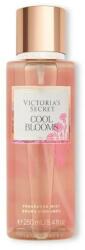 Victoria's Secret Cool Blooms - testpermet 250 ml