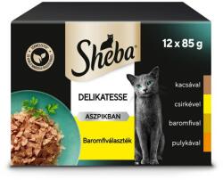 Sheba Delikatesse tasakos eledel, baromfi válogatás aszpikban, felnőtt macskák számára, 12 x 85 g